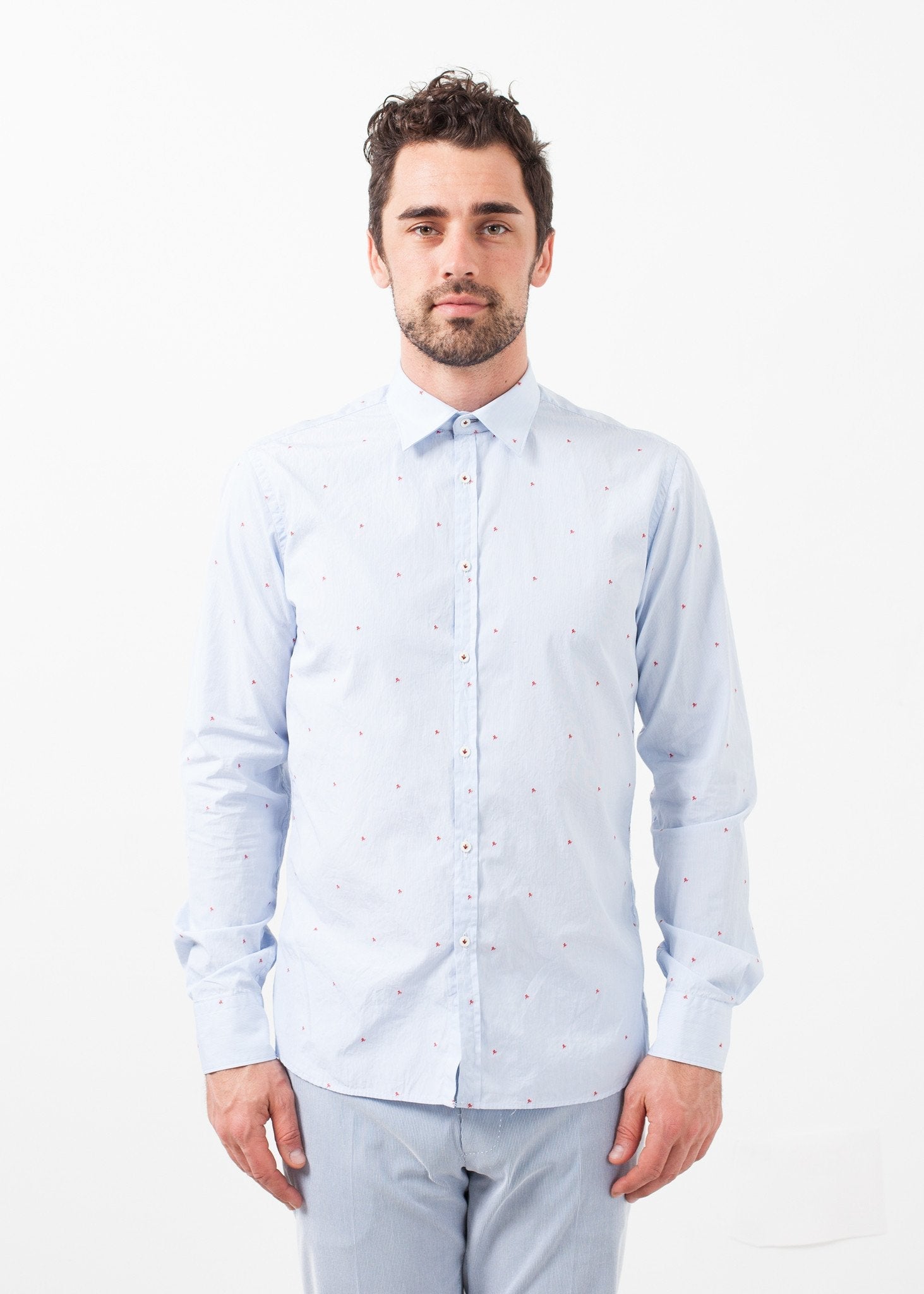 David Shirt right David Shirt