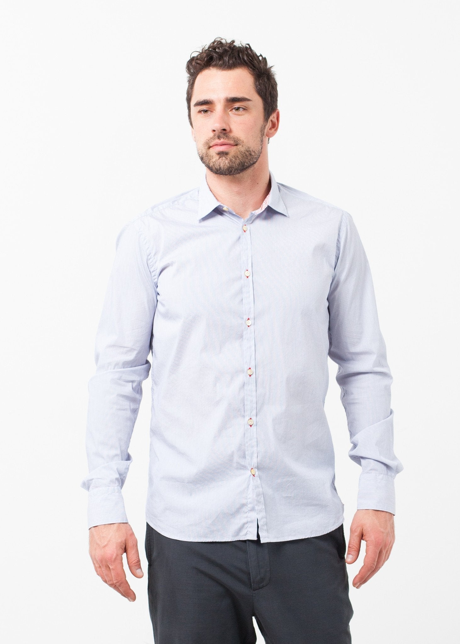 David Shirt right David Shirt