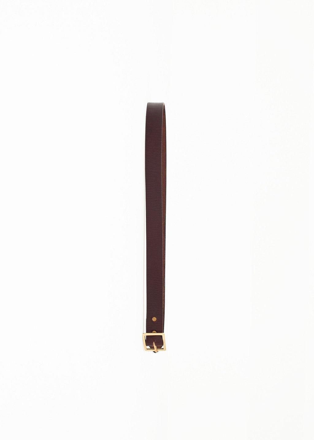 Plain Belt in Brown - raj