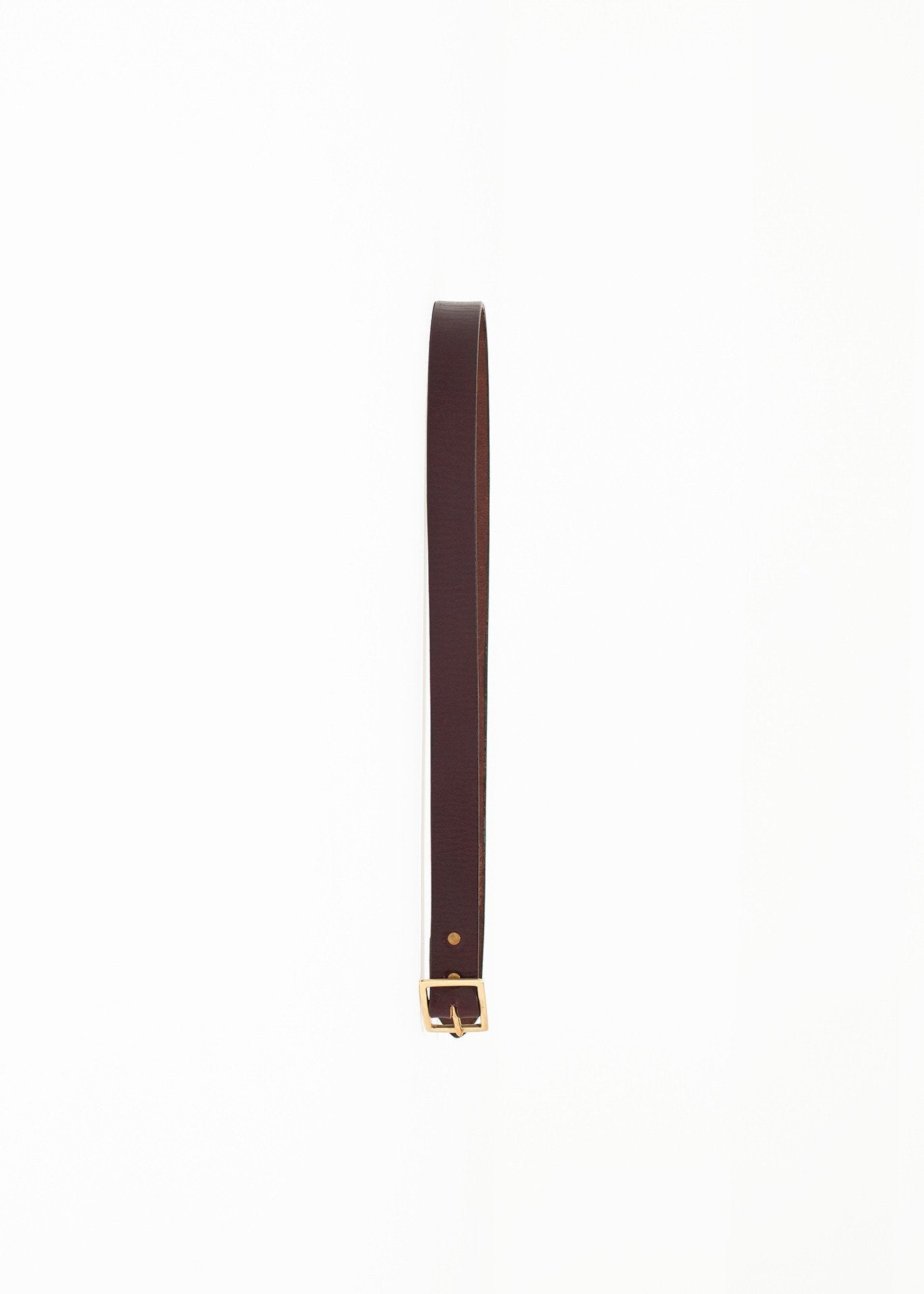 Plain Belt in Brown - raj